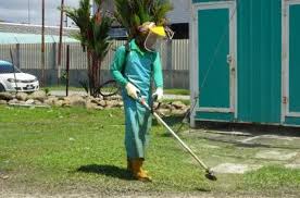 potong rumput