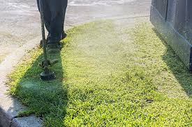 potong rumput
